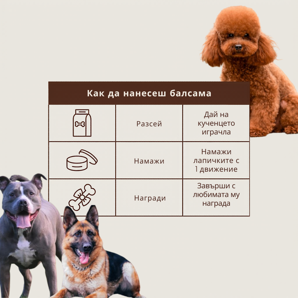 LAPTEKA CITY™ | For dogs and cats