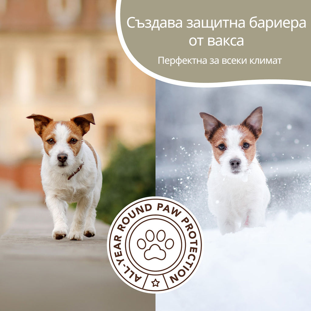 LAPTEKA CITY™ | For dogs and cats