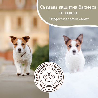 LAPTEKA CITY™ | For dogs and cats