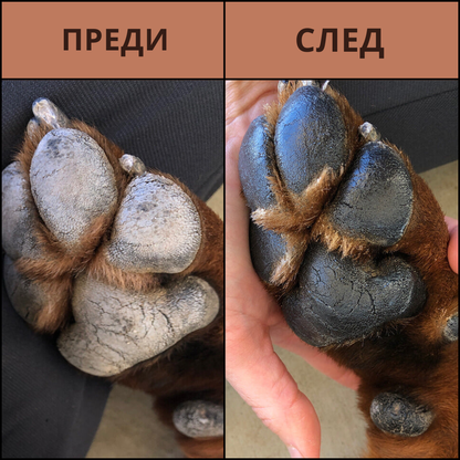 LAPTEKA CITY™ | For dogs and cats