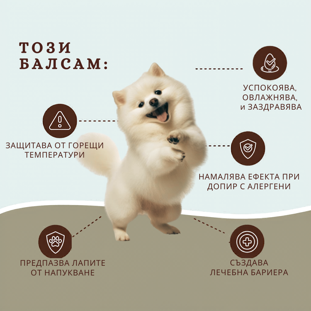 LAPTEKA CITY™ | For dogs and cats