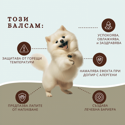 LAPTEKA CITY™ | For dogs and cats